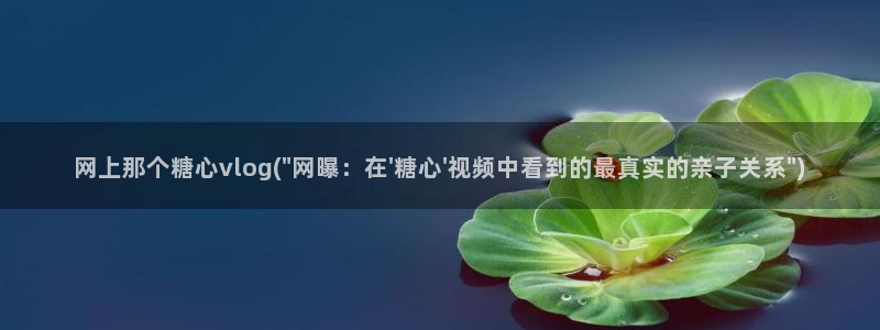 糖心vlgoav在线观看