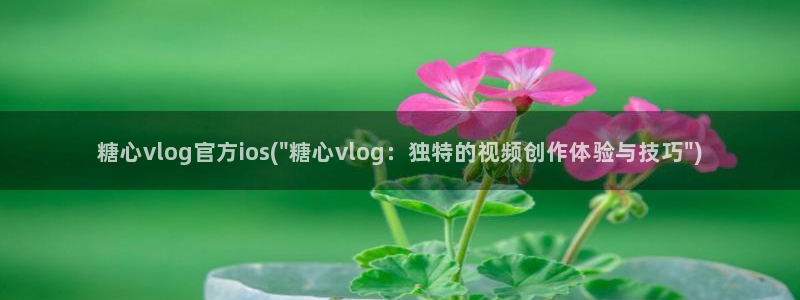 糖心viviqin是谁