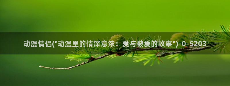 功夫动漫