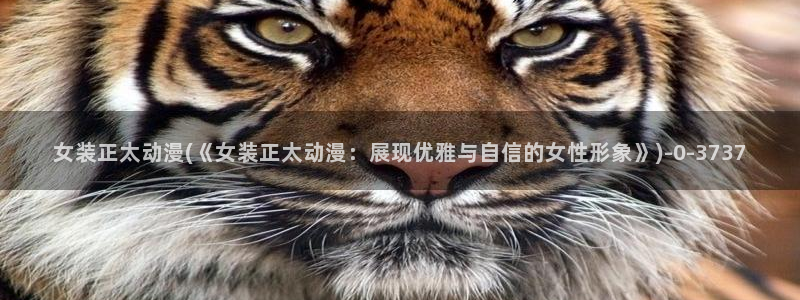 斗罗大陆动漫