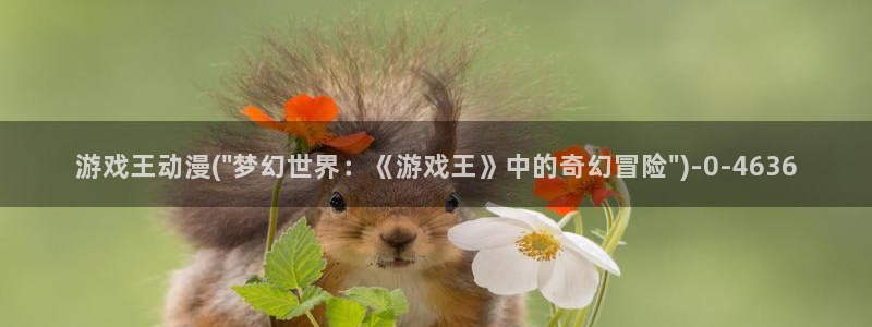 58动漫网站