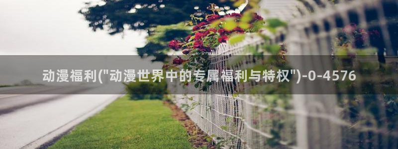魅魔动漫