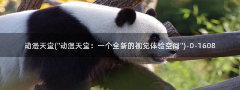 妖精动漫